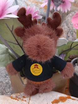 July 1st will be your chance to vote for the name of the Museum's moose mascot.